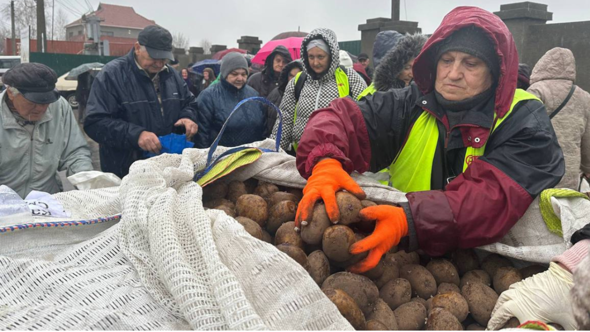 Potatoes as a Lifeline: How the "New Life" Mission Helps Families During the War